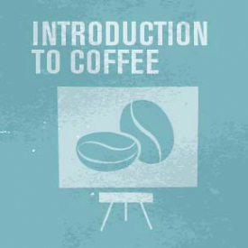 la-cittadella-caffe-corso-scae-introduction-to-coffee